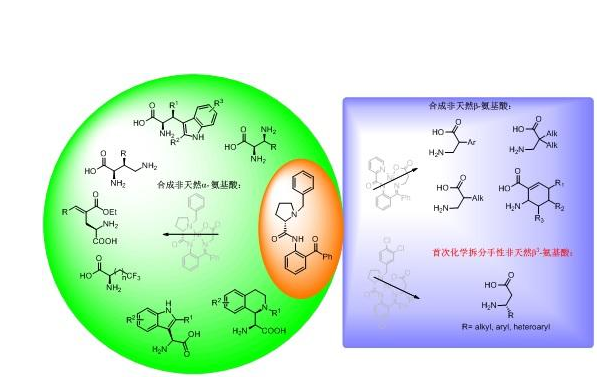 氨基酸螯合物